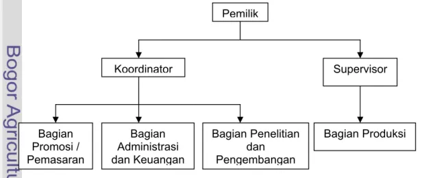 Gambar 5. Struktur organisasi unit usaha CV. ”X” 
