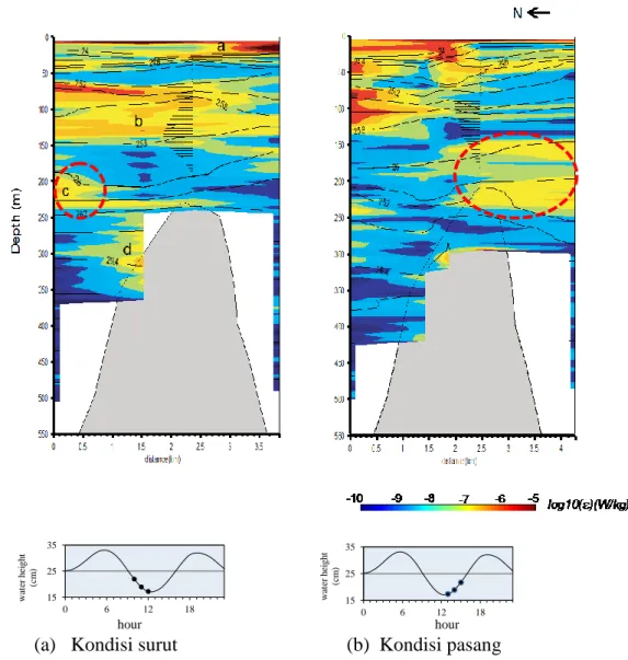Gambar  4.    Distribusi  laju  dissipasi  energi  kinetik  turbulen    transek  sejajar  pantai  (panel  atas),  pada  saat  surut  (a)  dan  pada  saat  pasang  (b)  (panel  bawah)  tanggal 14 Juli  2010