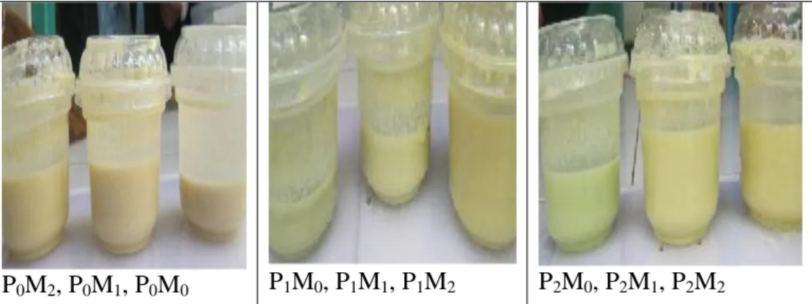 Gambar 2. Hasil penelitian soygurt dengan penambahan ekstrak buah markisa  kuning dan daun pandan sebagai pewangi