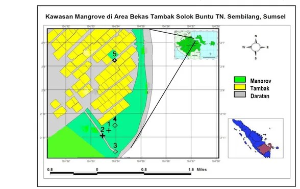 Gambar 1. Kawasan mangrove di area bekas tambak Solok Buntu  TNS Sumatera Selatan