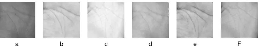 Figure 3. Intensity normalization results, (a, b, c) the original images with different lighting,  (d, e, f) normalization results with φd=180 and ρd=180 