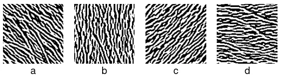 Figure 4. Palmcodes with various filter size real and imaginary codes respectively with, (a)-(b) 9x9 filter size, (c)-(d) 17x17 filter size, (e)-(f) 35x35 filter size