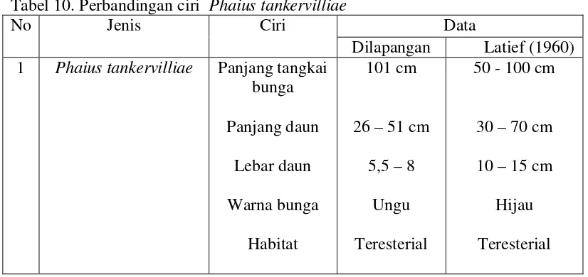 Gambar 9.  Phaius tankervilliae  dilapangan (a) dan di UPT Kebun Raya Samosir (b) 