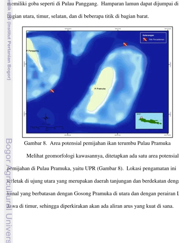 Gambar 8.  Area potensial pemijahan ikan terumbu Pulau Pramuka  Melihat geomorfologi kawasannya, ditetapkan ada satu area potensial  pemijahan di Pulau Pramuka, yaitu UPR (Gambar 8)