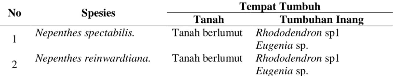 Tabel 7. Tempat Tumbuh Nepenthes spp 