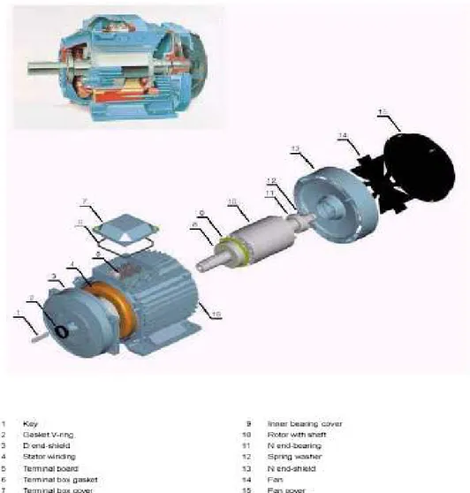 Gambar 2.9. Jenis motor induksi (lihat lampiran 3) 
