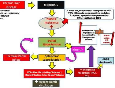 Gambar 2.1 Patogenesis Hipertensi Portal 43  
