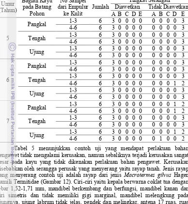 Tabel 5 menunjukkan contoh uji yang mendapat perlakuan bahan 