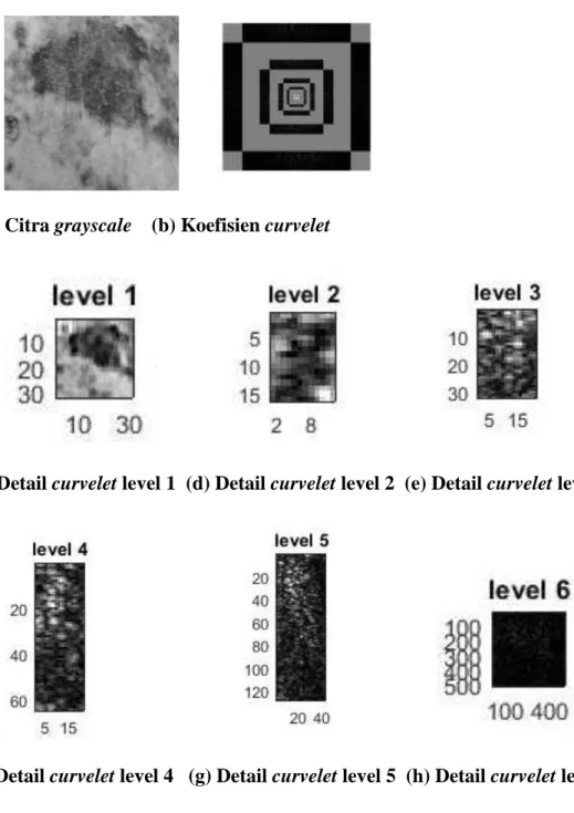 Gambar 3. 6 Proses Transformasi Curvelet 
