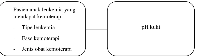 Gambar 2.1 Diagram kerangka konsep