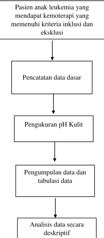 Gambar 3.1 Diagram kerangka operasional