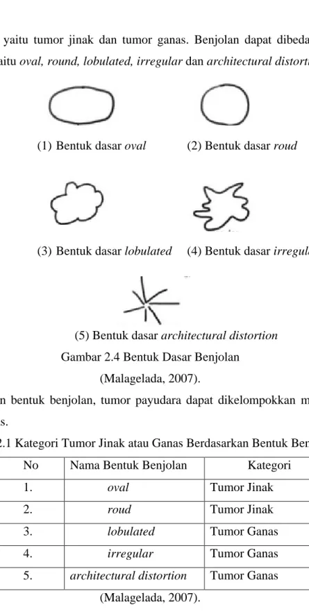Tabel 2.1 Kategori Tumor Jinak atau Ganas Berdasarkan Bentuk Benjolan  No  Nama Bentuk Benjolan  Kategori 