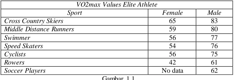 Gambar 1.1 VO2max Values Elite Athlete 