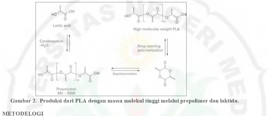 Gambar 2.  Produksi dari PLA dengan massa molekul tinggi melalui prepolimer dan laktida