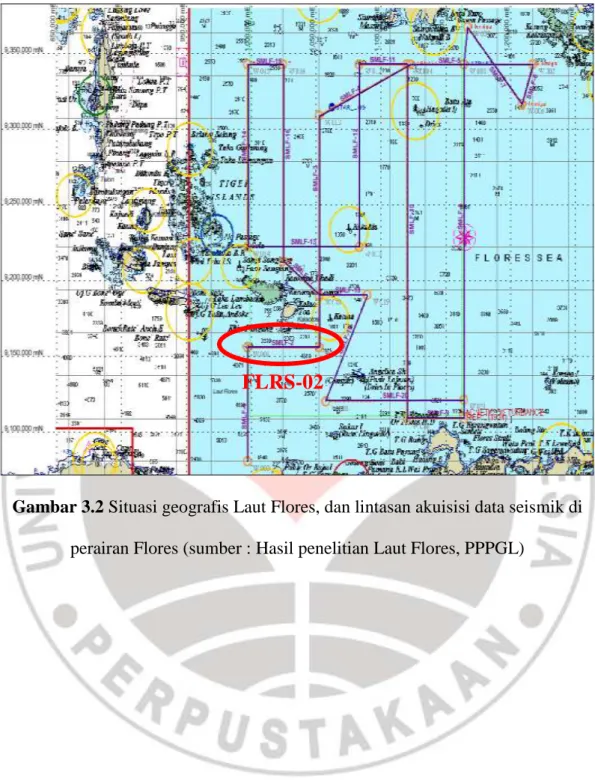 Gambar 3.2 Situasi geografis Laut Flores, dan lintasan akuisisi data seismik di  perairan Flores (sumber : Hasil penelitian Laut Flores, PPPGL) 
