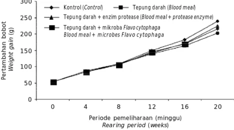 Gambar 1. Pola  pertumbuhan  bobot  ikan  kerapu  macan  yang  diberi  pakan kontrol, tepung darah, tepung darah yang diberi enzim protease, dan tepung darah yang diberi mikroba Flavo cytophaga selama 20 minggu pemeliharaan