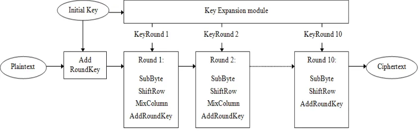 Figure 1. 128-bit key AES Algorithm 