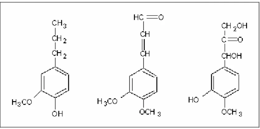 Gambar 2.9 Jenis monomer dari lignin 