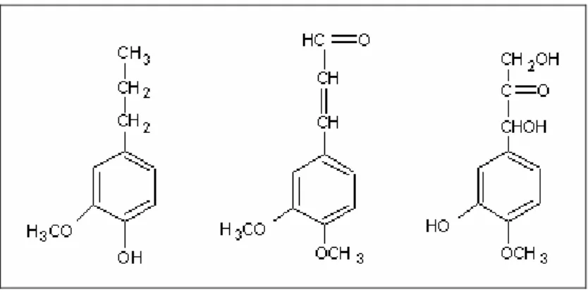 Gambar 2.9 Jenis monomer dari lignin 