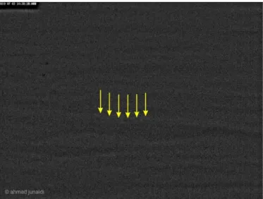 Gambar 1.1. Olah citra CCD hilal atau bulan sabit 1  Dzulqaidah 1440 H yang berhasil diabadikan oleh Achmad  Junaidi dari Ponoroga, Jawa Timur pada petang hari Rabu, 3 