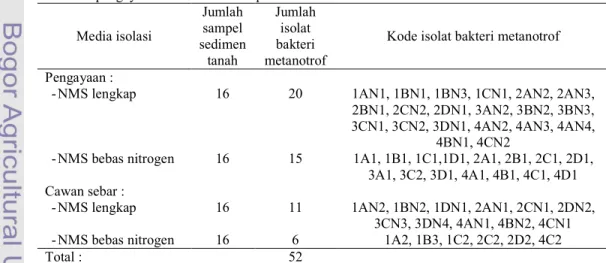 Tabel  1  Hasil  isolasi  bakeri  metanotrof  dari  sedimen  sawah  di  daerah  Sragen  dengan  metode  pengayaan dan cawan sebar pada media NMS 