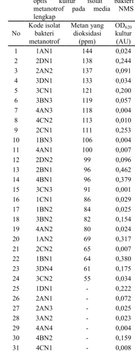 Tabel  2  Aktivitas  oksidasi  metan  dan  rapat  optis  kultur  isolat  bakteri  metanotrof  pada  media  NMS  lengkap  No  Kode isolat bakteri  metanotrof  Metan yang dioksidasi (ppm)  OD 620 kultur (AU)  1  1AN1  144  0,024  2  2DN1  138  0,244  3  2AN2