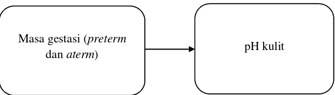 Gambar 2.4 Diagram kerangka konsep