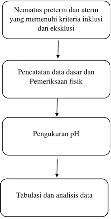 Gambar 3.1 Diagram kerangka operasional