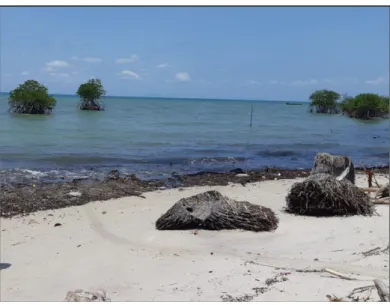 Gambar 2. Pesisir Pantai Pasir Panjang. 