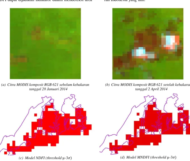 Gambar 6. Perbesaran hasil identifikasi area terbakar.  Area terbakar dari citra MODIS (warna merah) dan area terbakar dari  citra Landsat 8 (garis ungu) 
