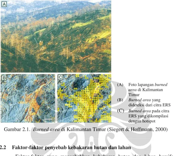 Gambar 2.1.  Burned area di Kalimantan Timur (Siegert &amp; Hoffmann, 2000) 