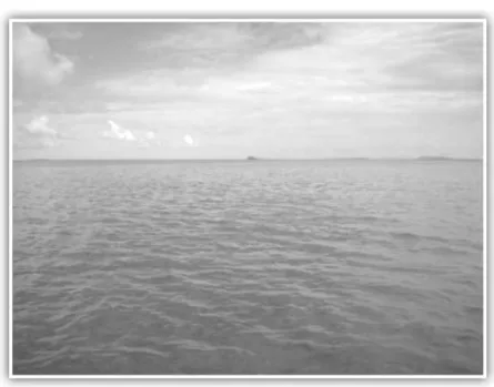 Gambar 4. Foto Situs Karang Kijang memiliki kedalaman  hanya 1,5 m dari atas permukaan laut.
