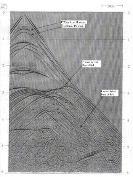 Gambar 4. Rekaman data seismik  3.3.2   Demultiplex  