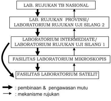 Gambar 1. Struktur Jejaring Laboratorium Mikroskopis TB LAB. RUJUKAN TB NASIONAL