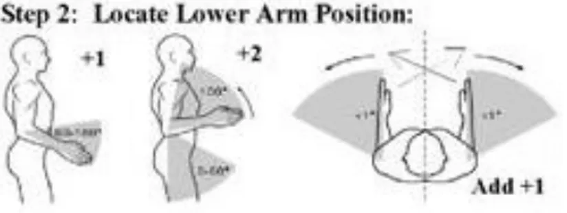 Gambar 2. Penilaian lengan bawah  Sumber : Hedge, 2012 10 c.  Langkah ketiga 