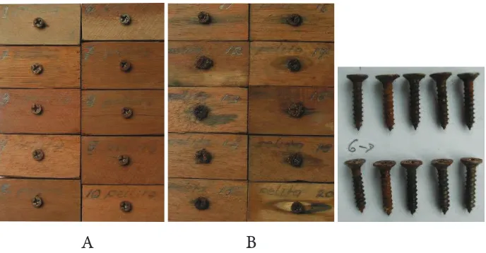 Figure 4. Non-break-luid-dipped metal screw (A) and oil marks of break-luid-dipped metal screw in the surrounding area (B)