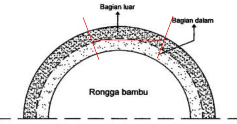 Gambar 2.2. Pengambilan Spesimen Bambu  (Sumber: Morisco, 1999) 