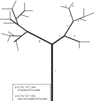 Gambar (Figure) 1. Penomoran link pada pohon dan formula transfer coefficient (p) dan allocation co-efficient (q) beberapa percabangan (Link numbering in a tree and the formula of the transfer coefficient (p) and allocation coefficient (q) among the branches) 