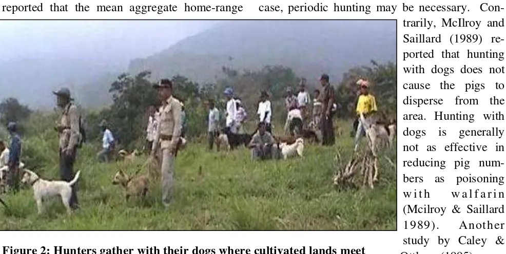 Figure 2: Hunters gather with their dogs where cultivated lands meet     