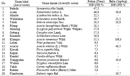 Tabel (Table) 2. Indeks nilai penting tumbuhan bawah pada habitat burung merak hijau di Resort Bekol dan Bama (Important value index  of undergrowth in habitat phoenix bird at Bekol and Bama Resort) 