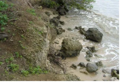 Gambar (FigurePulau Dua (serve) 4. Abrasi pantai di Cagar Alam Abration in Pulau Dua Natural Re-) 