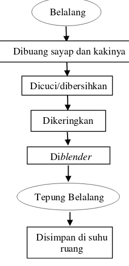 Gambar 8. Diagram alir pembuatan tepung belalang 