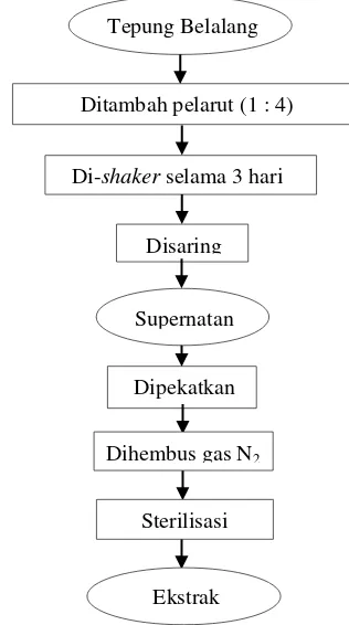 Gambar 9. Diagram alir ekstraksi tepung belalang 