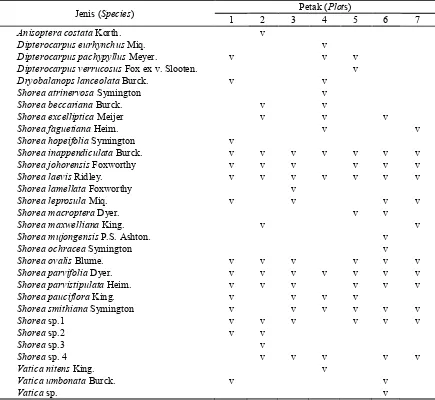 Tabel (Table) 1.   Penyebaran pohon Dipterocarpaceae pada petak pengamatan (Distribution of Dipterocarpa-ceae trees at observation plots) 