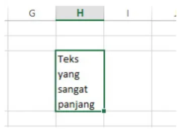 Gambar 3.17 Isi sel menjadi beberapa baris setelah Wrap Text  diaktifkan 