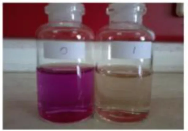 Gambar C.6 a) Ilustrasi adsorpsi remazol violet 5R pada permukaan anoda, b) Ilustrasi proses 