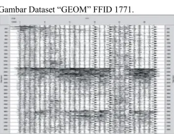 Gambar Dataset “GEOM” FFID 1771. 