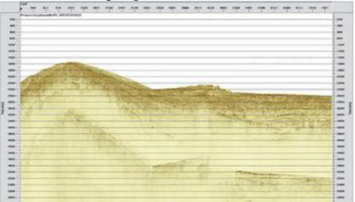 Gambar Penampang Seismik Hasil Stack (Stacked Section). 