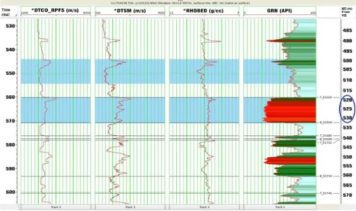 Gambar 1. Data log Sonic, S-wave,Density dan  Gamma ray . 