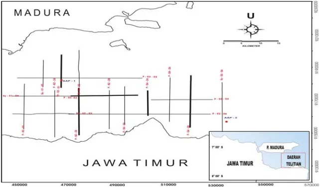 Gambar 3. Daerah penelitian, posisi lintasan seismik dan sumur di daerah penelitian. 